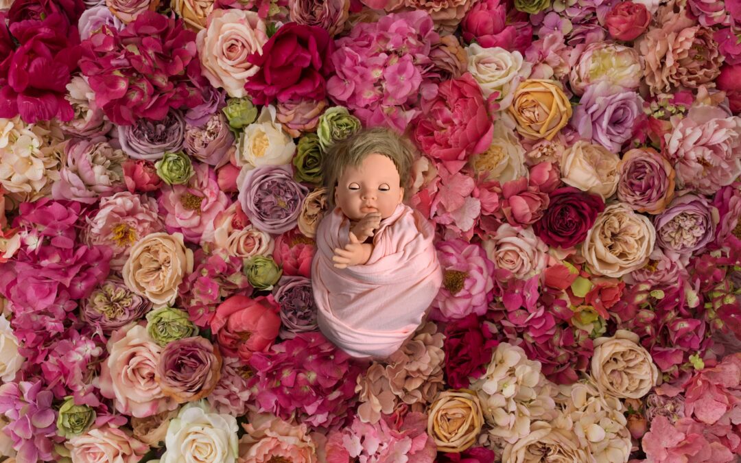 DIY Newborn Photo Shoot Ipswich