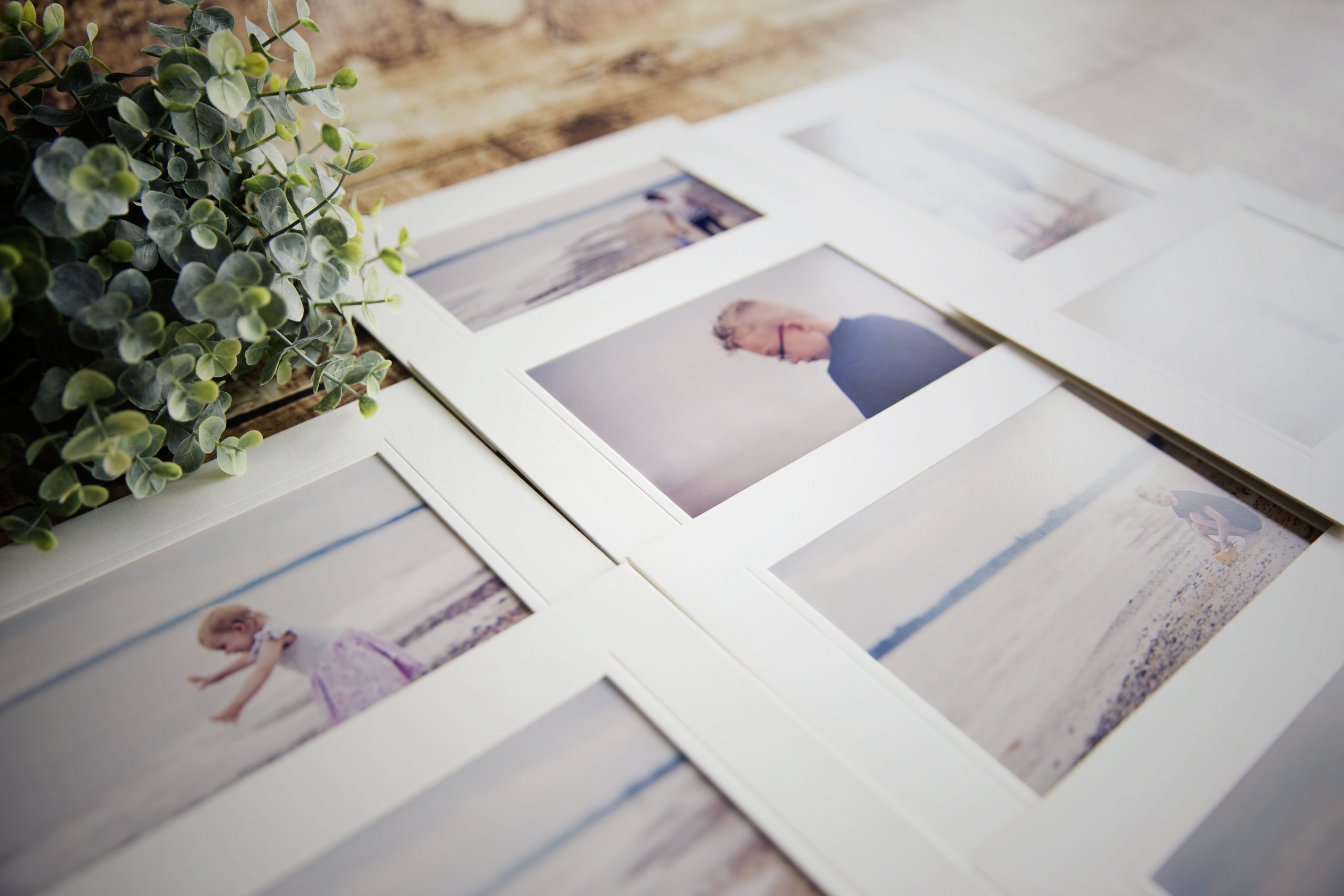 Collection_ten10x8closeup