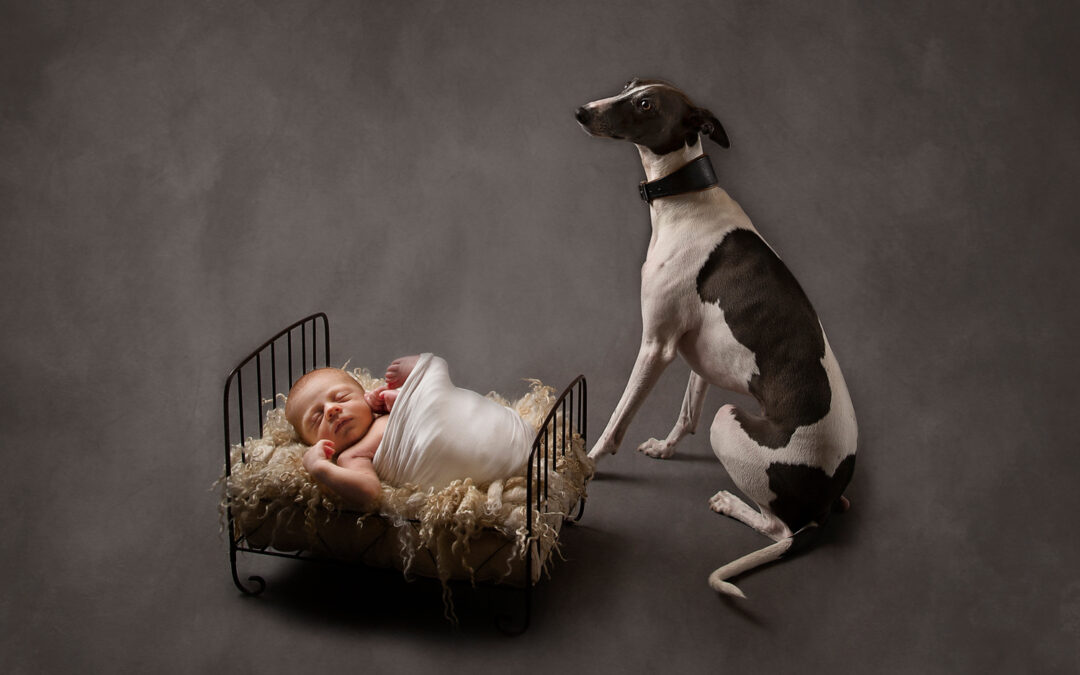 INTRODUCING YOUR NEWBORN BABY TO YOUR DOG